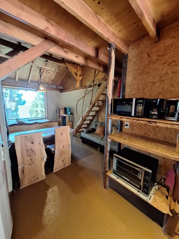 CABAÑA QUINQUIN-  Descanso y naturaleza frente al lago para 4 personas